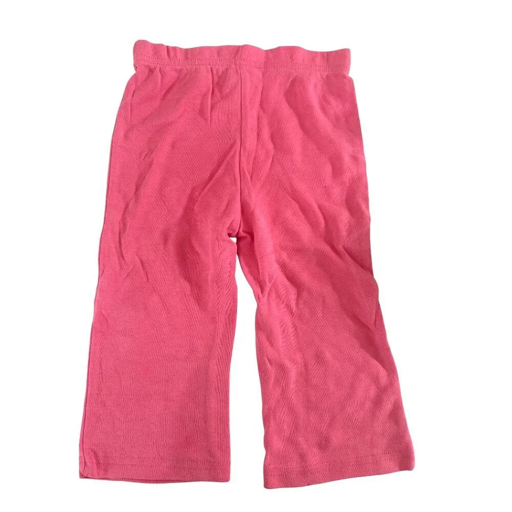 Gerber Toddler Girls 18M 2 Piece‎ Pink Floral Long-Sleeve Top & Pants Set